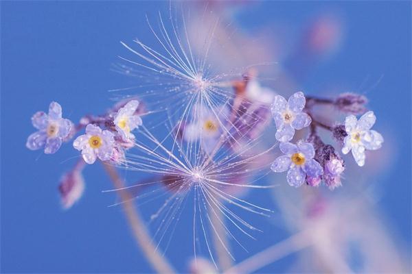 5月