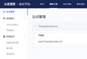 头条搜索站长平台网站工具