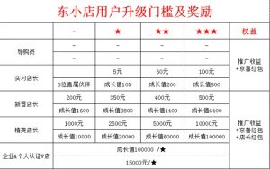 东小店升级门槛及奖励