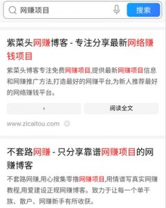 长尾关键词搜索页面