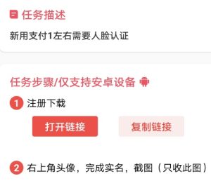 赏帮赚做实名任务