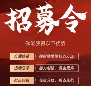 必推客代理政策